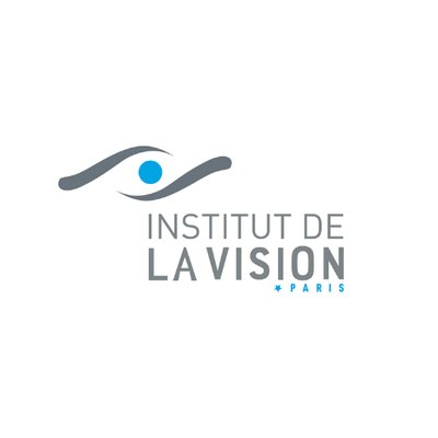 Institut de la vision